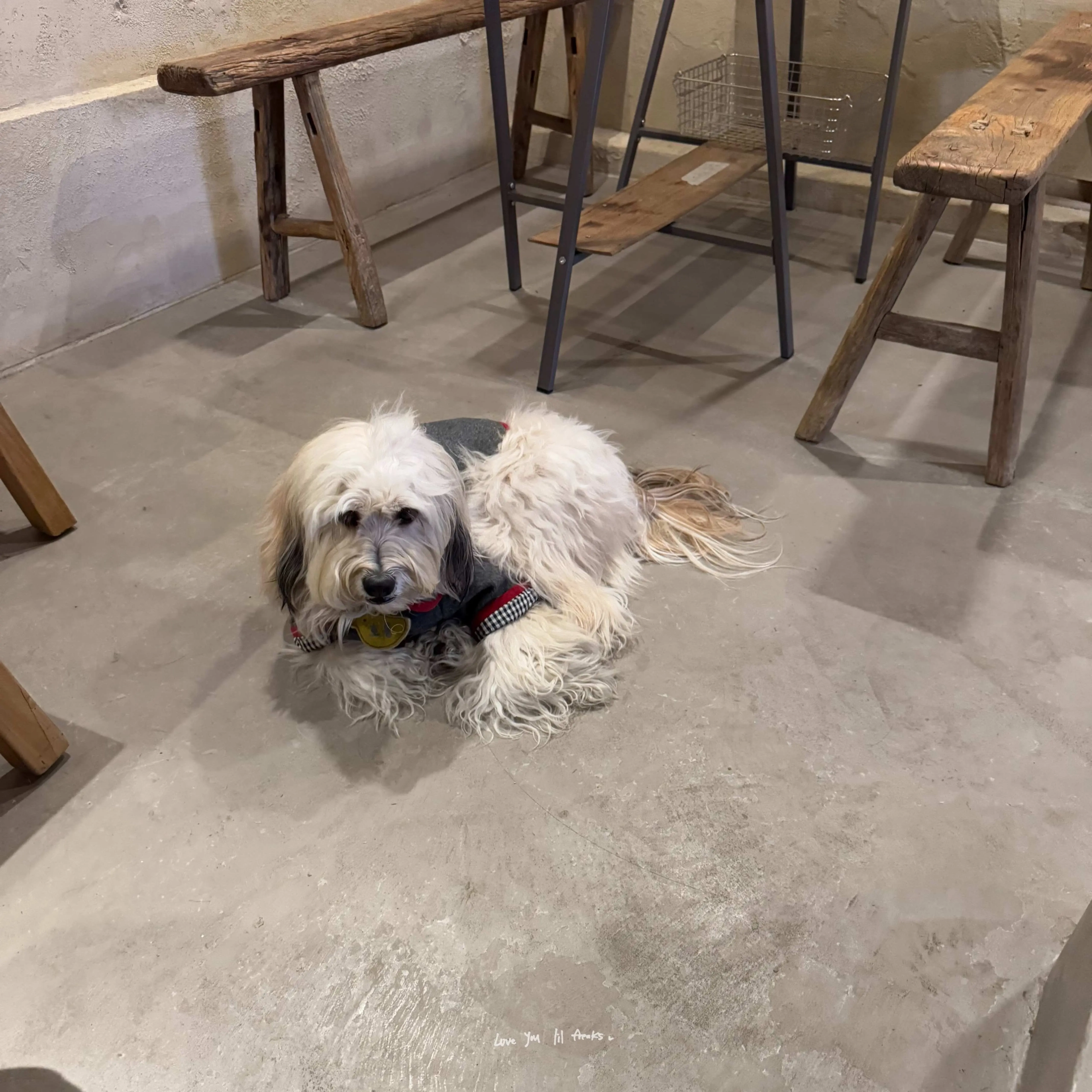 延禧洞핫플|『espresso bar』연희 에스프레소 바_各種三明治、濃縮變化選擇多&店家自製吉拿棒 11 IMG 8152 scaled