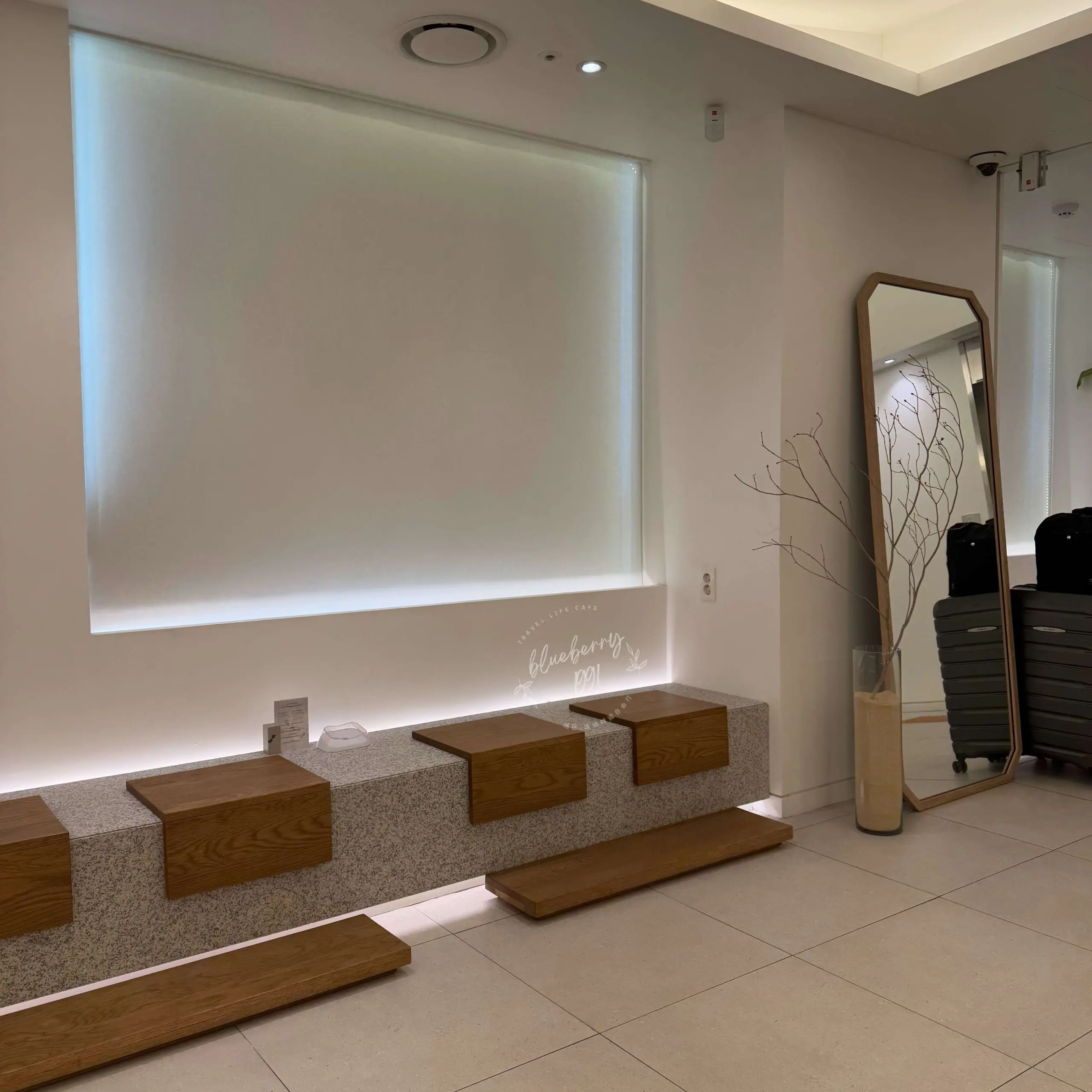 Chiu plastic surgery